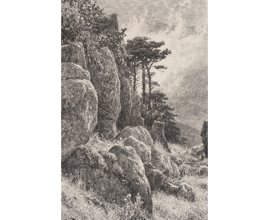 Крымский вид. И.И. Шишкин. Гравюра. Российская империя, 1882 год