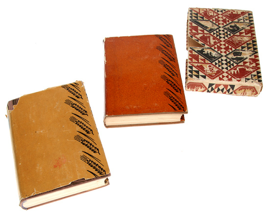 Бруски (комплект из 2 книг)