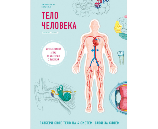 Билич Г.Л., Зигалова Е.Ю. Тело человека. Интерактивный атлас по анатомии с вырубкой