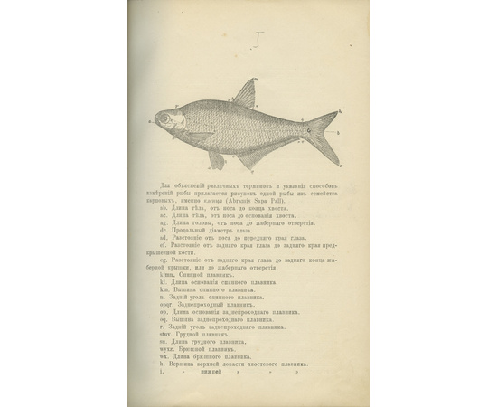 Сабанеев Л.П. Рыбы России. Жизнь и ловля (уженье) наших пресноводных рыб в 2 томах.