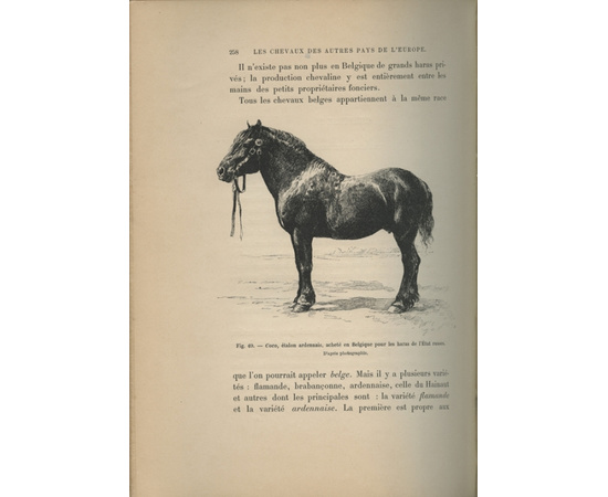Par M. le Dr Leonid de Simonoff et M. Jean de Moerder Les races chevalines, avec une etude speciale sur les chevaux russes