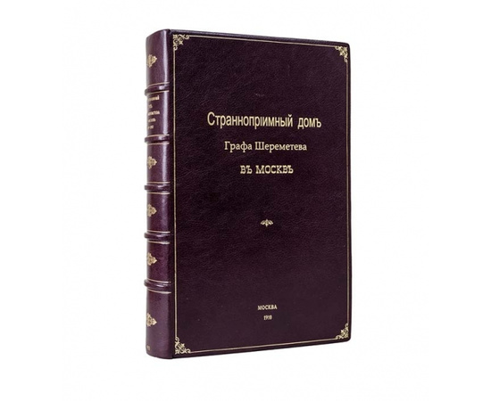 Виноградов А.И. Странноприимный дом графа Шереметева в Москве и отдельных видов его благотворительной деятельности. 1810-1910 гг