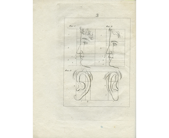 Станкевич Н. Рисовальный учитель, или Правила рисовального искусства, с 25 рисунками.