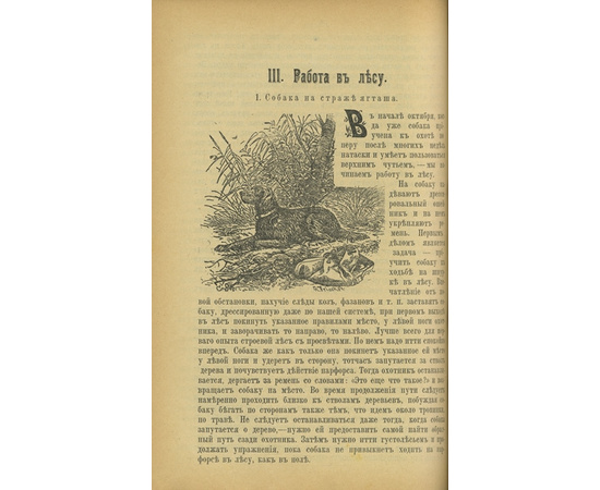 Тюльпанов А.С., Оберлендер Г. Конволют двух дореволюционных изданий, посвященных дрессировке охотничьих собак