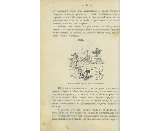 Тюльпанов А.С., Оберлендер Г. Конволют двух дореволюционных изданий, посвященных дрессировке охотничьих собак