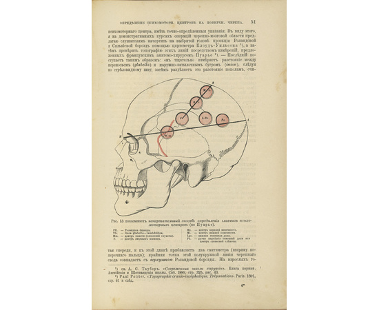 Тилло П. Руководство к топографической анатомии в применении к хирургии.