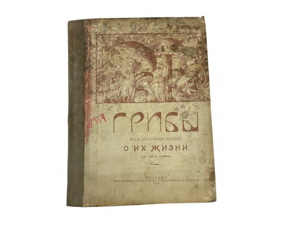 М. Новорусский. Грибное царство. Всем доступный рассказ о грибах и их жизни. С 35 рисунками