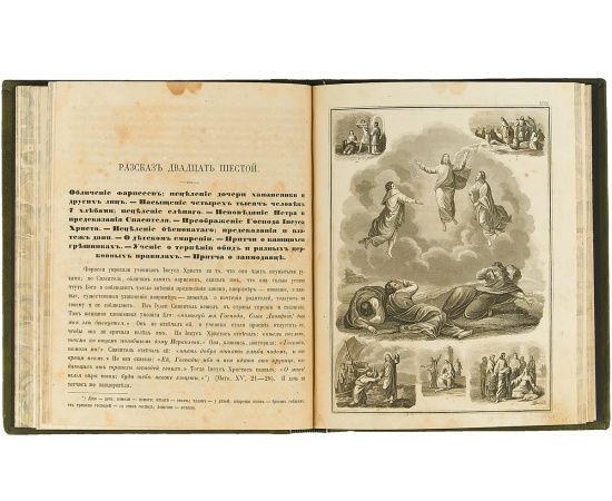 Рассказы из Священной истории Ветхого и Нового Завета