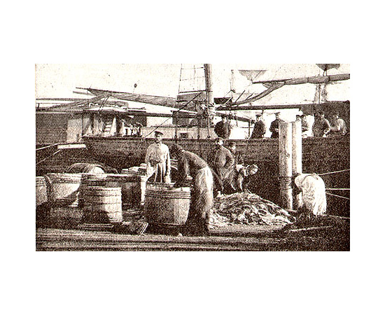 Русский Север (Путевые записки Архангельского губернатора),  выпуски 1 - 4