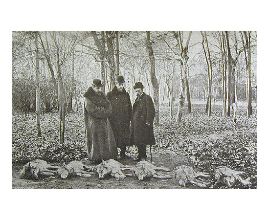 Природа и Охота. Ежемесячный иллюстрированный журнал. 1909 год, выпуски 1 - 12. В двух книгах
