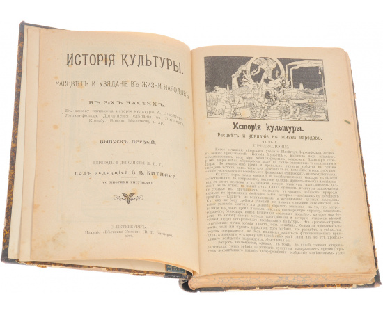 История культуры. Расцвет и увядание в жизни народов. В 3 выпусках (в одной книге)