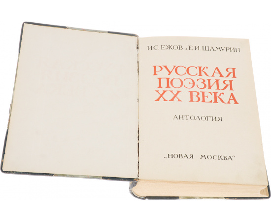 Русская поэзия ХХ века. Антология русской лирики от символизма до наших дней