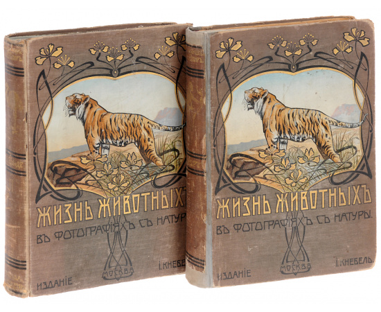 Жизнь животных в фотографиях с натуры (комплект из 2 книг)