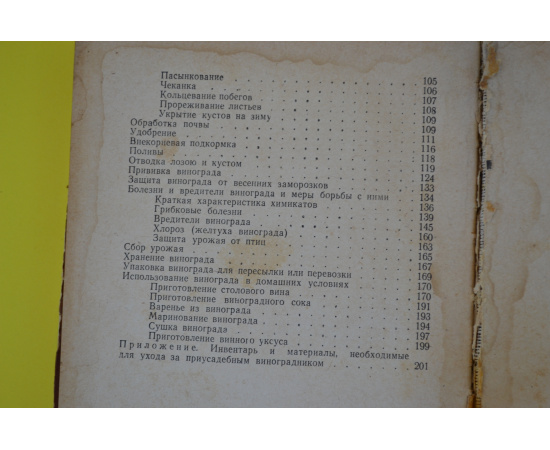 Приусадебное виноградарство