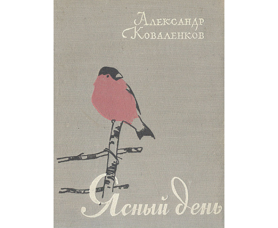 Ясный день