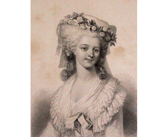 Les Femmes de Versailles. La Cour de Marie-Antoinette книга