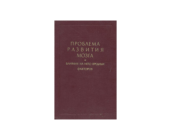 Проблема развития мозга и влияния на него вредных факторов