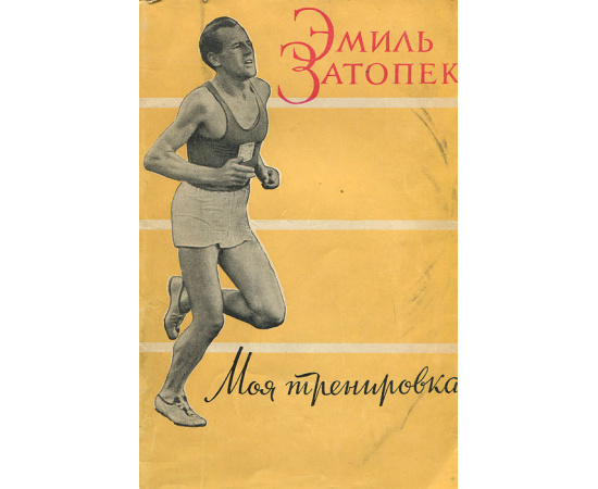 Моя тренировка