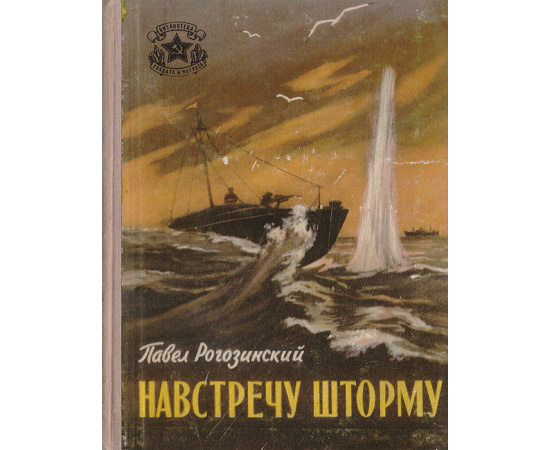Навстречу шторму