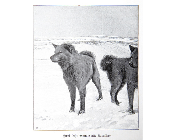 Новая земля. Четыре года в Арктике. В 2 томах (комплект)