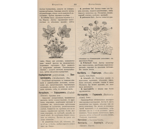 Флора теплиц, оранжерей, садов и огородов. Иллюстрированный указатель растений, введенных в садоводство