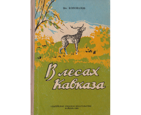 В лесах Кавказа