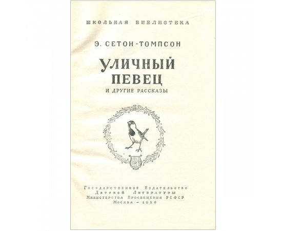Уличный певец