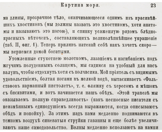 На берегу моря. Зоологические этюды в Ильфракомбе, Тенби, на Сициллийских островах и на Джерзи