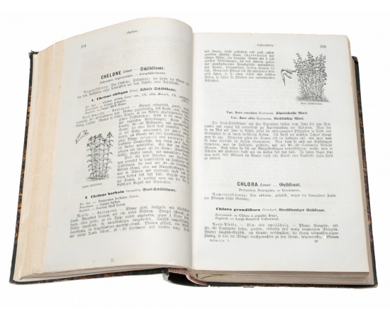 Vilmorin's illustrirte Blumengaertnerei (комплект из 3 книг)