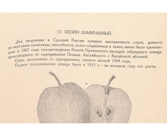 Итоги полувековых работ по выведению новых сортов плодовых и ягодных растений