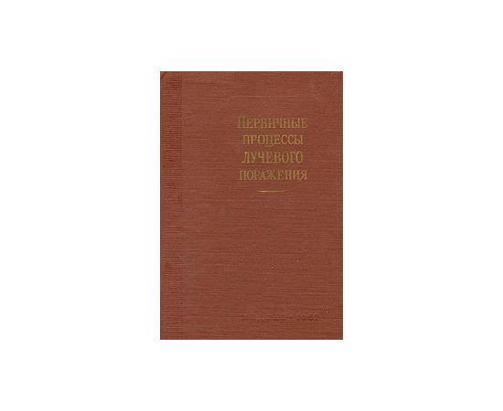 Первичные процессы лучевого поражения