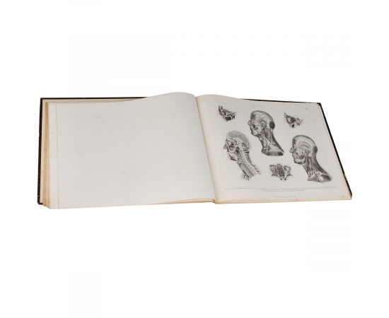 Bilder-Atlas: Stonographitche  Snchtlopadie der Wiffenfchaften und Runfte книга
