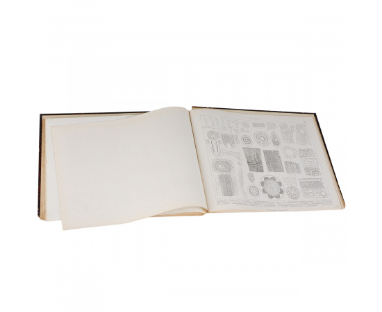 Bilder-Atlas: Stonographitche  Snchtlopadie der Wiffenfchaften und Runfte книга