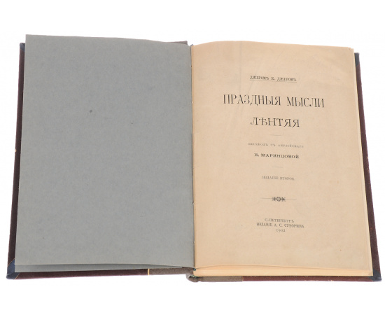 Праздные мысли лентяя