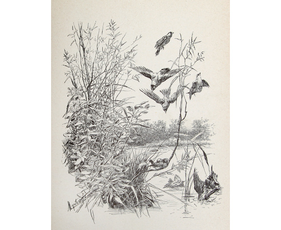 Полное собрание сочинений Франсуа Коппе. Стихотворения 1864 - 1887 гг.