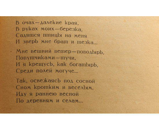 Гость чудесный. Избранные стихотворения