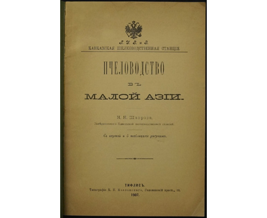 Шавров Н.Н. Пчеловодство в Малой Азии.