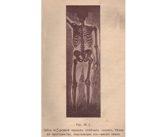 Лечение Кавказскими минеральными водами. Популярное изложение
