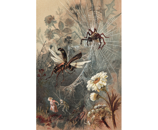 Розанчик. Волшебная сказка для детей