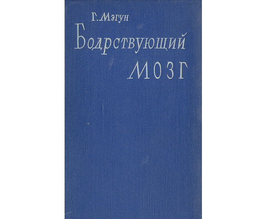 Бодрствующий мозг