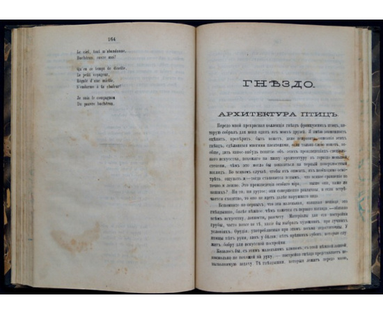 Мишле Ж. Птица.