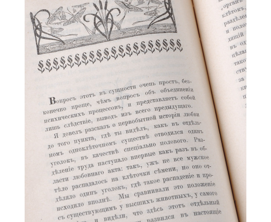 Любовь в природе. Популярная история возникновения и развития любви в животом мире