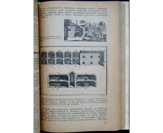 Липпинкот В.А. Птицеводство.