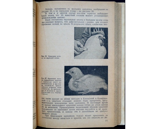 Липпинкот В.А. Птицеводство.