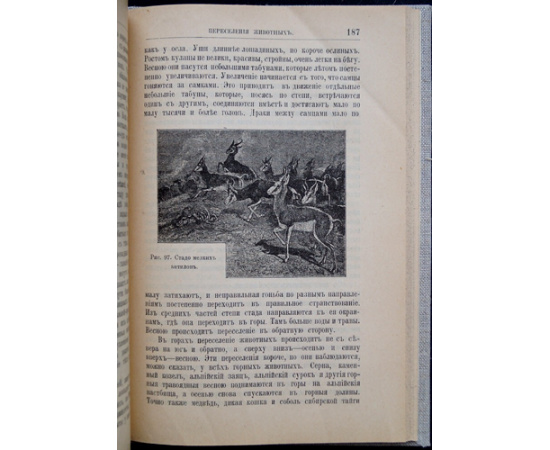 Полянский И.И. Сезонные явления в природе.