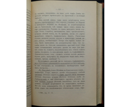 Городцов В.А. Первобытная археология. Курс лекций, читанных в Московском Арх. Институте