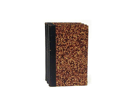 История завоевания Англии норманами. В трех частях. В трех книгах