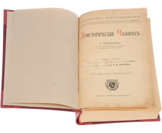 Доисторический человек