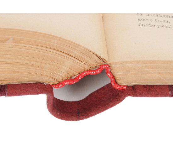 Доисторический человек