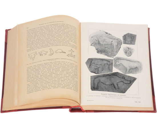 Доисторический человек